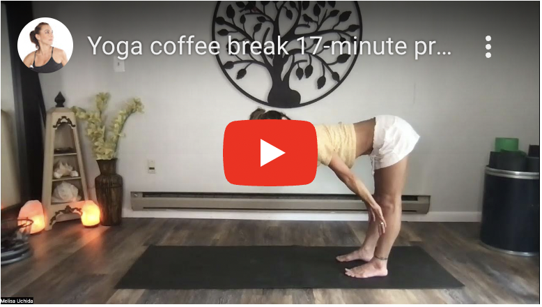 A screenshot of the video yoga coffee break