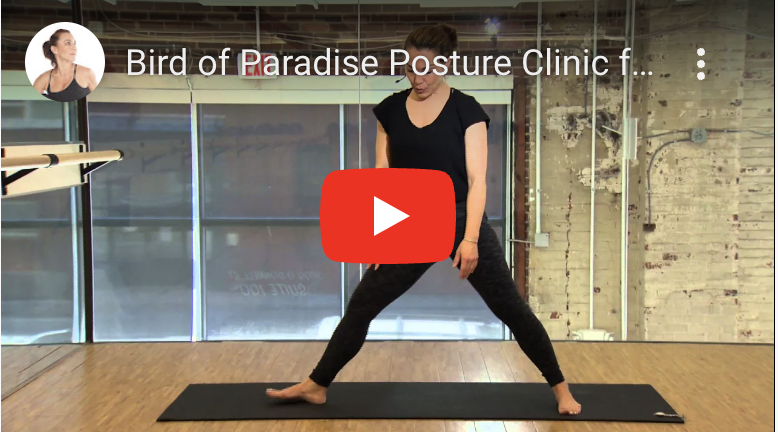 A screenshot of Bird of paradise posture clinic